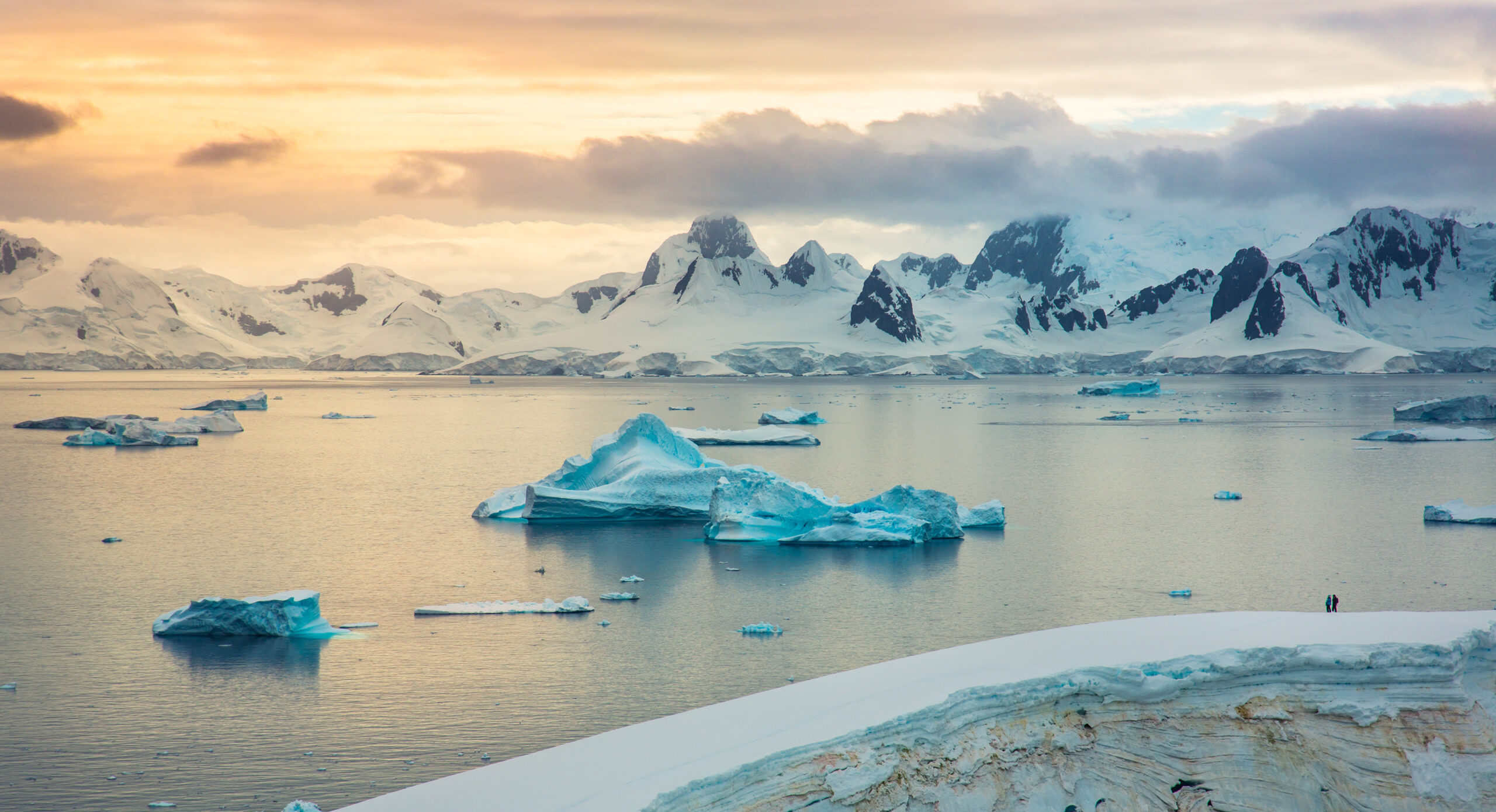 Antarctique Nature sauvage Paysage