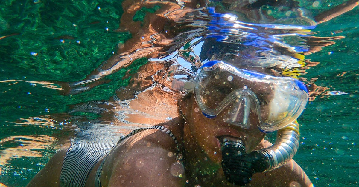 découvrez les joies du snorkeling dans des eaux cristallines et explorez la richesse sous-marine avec notre guide complet du snorkeling.