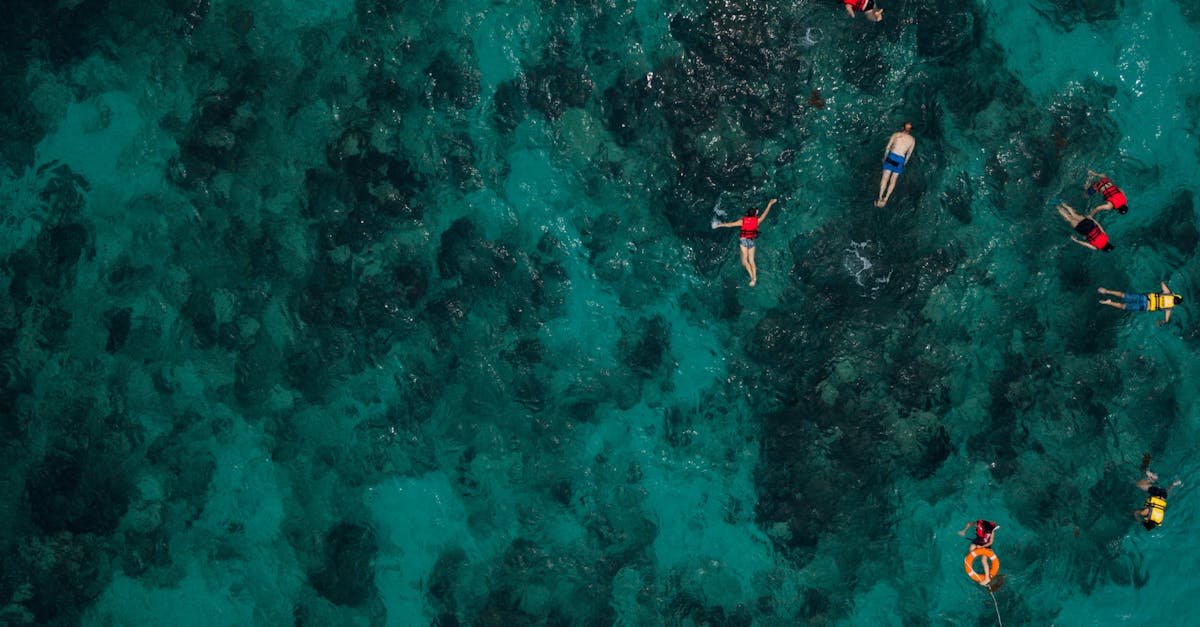 découvrez les merveilles sous-marines en pratiquant le snorkeling, une activité de loisirs aquatiques fascinante accessible à tous.
